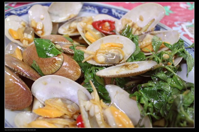 《遊記—桃園》富野綿羊牧場～綠光森林咖啡、餐飲&竹圍漁港