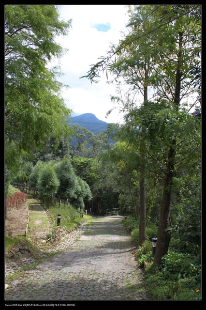《遊記—桃園》富野綿羊牧場～綠光森林咖啡、餐飲&竹圍漁港