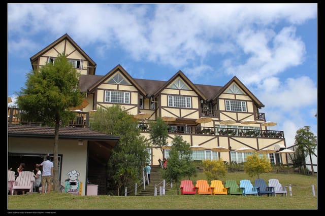 《遊記—桃園》富野綿羊牧場～綠光森林咖啡、餐飲&竹圍漁港