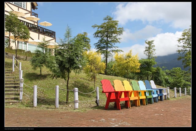 《遊記—桃園》富野綿羊牧場～綠光森林咖啡、餐飲&竹圍漁港