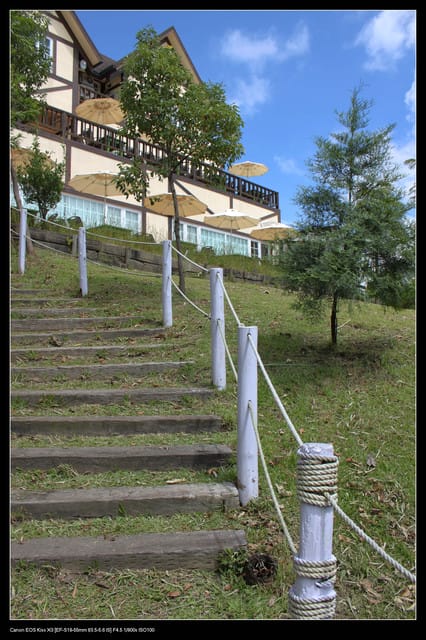 《遊記—桃園》富野綿羊牧場～綠光森林咖啡、餐飲&竹圍漁港