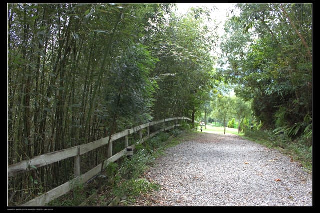 《遊記—桃園》富野綿羊牧場～綠光森林咖啡、餐飲&竹圍漁港
