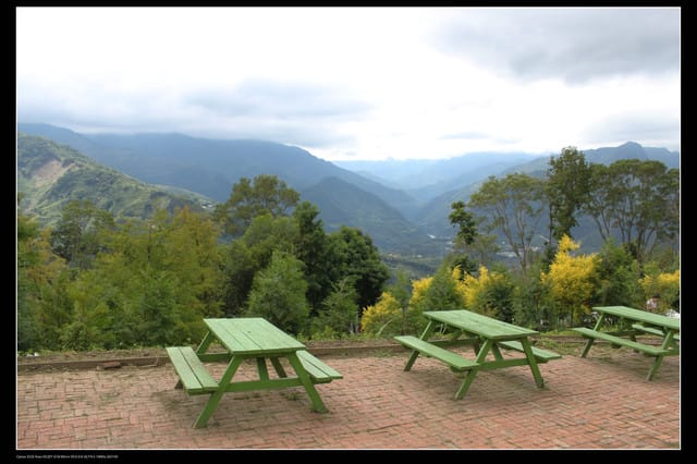 《遊記—桃園》富野綿羊牧場～綠光森林咖啡、餐飲&竹圍漁港