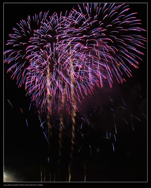 《隨拍》2010國慶煙火（圖多）