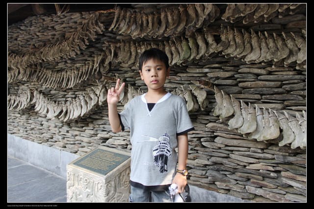 《遊記—南投》日月潭纜車＆九族文化村一日遊