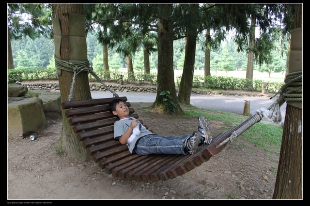 《遊記—南投》日月潭纜車＆九族文化村一日遊