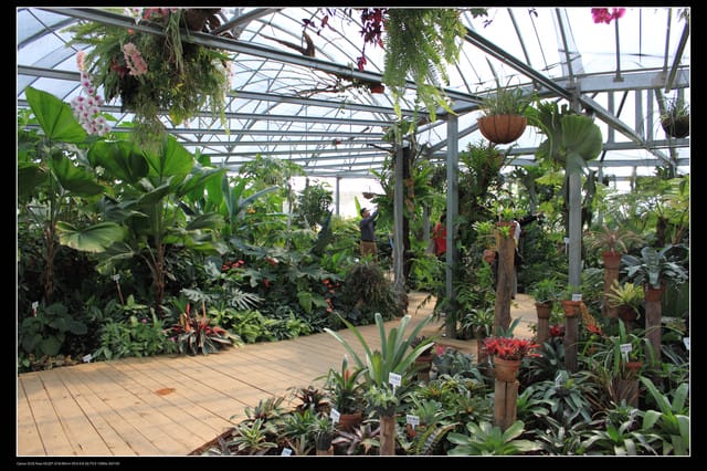 《遊記—台中》2010新社花海