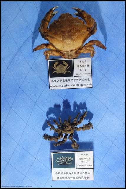 《遊記— 宜蘭》北關休閒農場