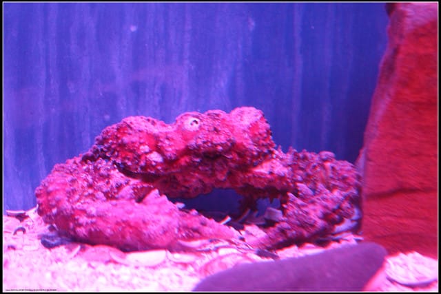 《遊記— 宜蘭》北關休閒農場