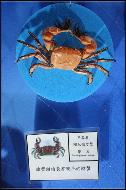 《遊記— 宜蘭》北關休閒農場