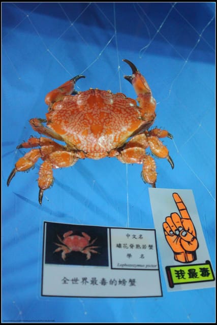 《遊記— 宜蘭》北關休閒農場