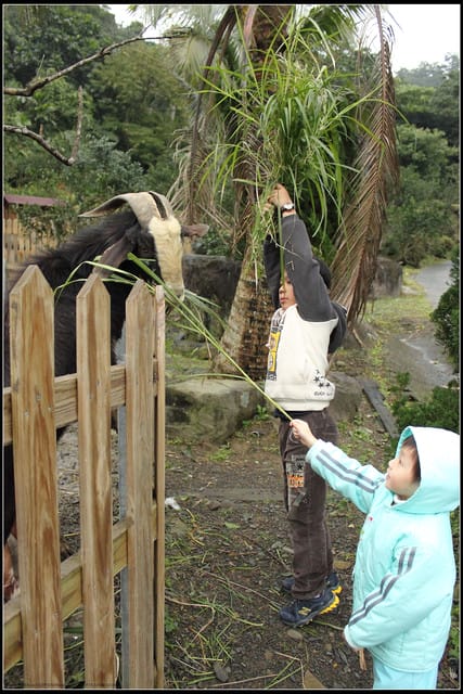 《遊記— 宜蘭》北關休閒農場