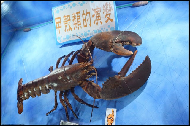 《遊記— 宜蘭》北關休閒農場