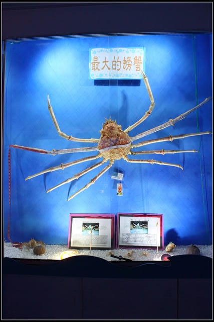 《遊記— 宜蘭》北關休閒農場