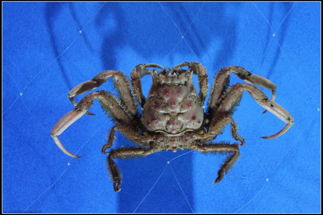 《遊記— 宜蘭》北關休閒農場