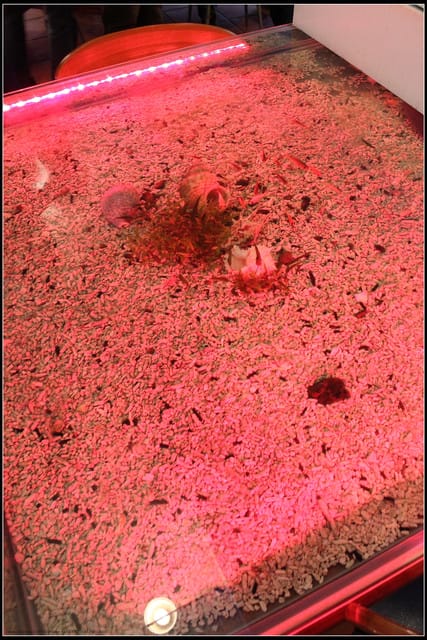 《遊記— 宜蘭》北關休閒農場