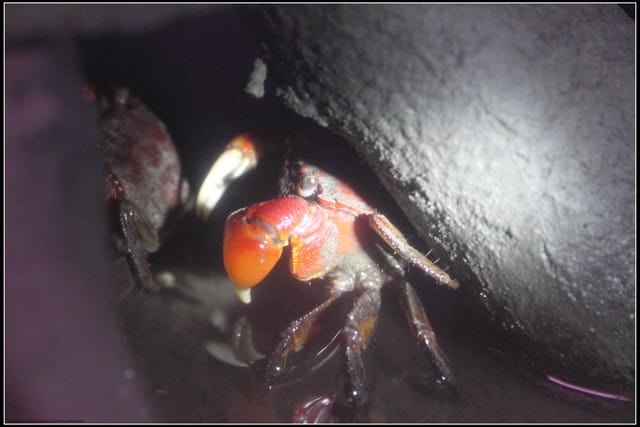 《遊記— 宜蘭》北關休閒農場