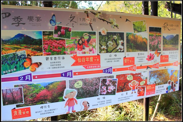 《遊記— 桃園》桃源仙谷~鬱金香盛開囉! - 第4張圖 《遊記— 桃園》桃源仙谷~鬱金香盛開囉!