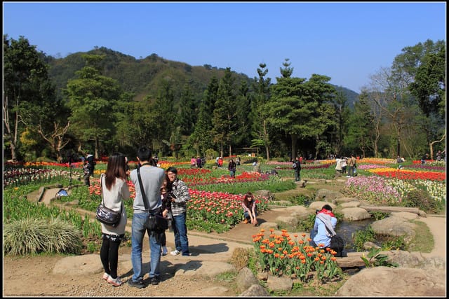 《遊記— 桃園》桃源仙谷~鬱金香盛開囉! - 第36張圖 《遊記— 桃園》桃源仙谷~鬱金香盛開囉!