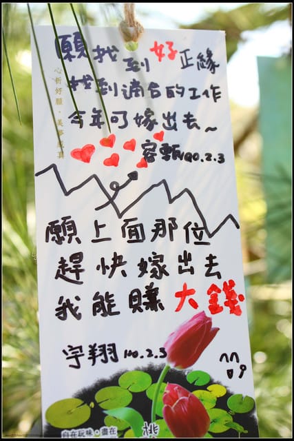 《遊記— 桃園》桃源仙谷~鬱金香盛開囉! - 第13張圖 《遊記— 桃園》桃源仙谷~鬱金香盛開囉!