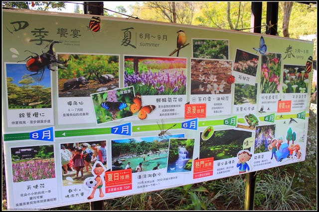 《遊記— 桃園》桃源仙谷~鬱金香盛開囉! - 第3張圖 《遊記— 桃園》桃源仙谷~鬱金香盛開囉!