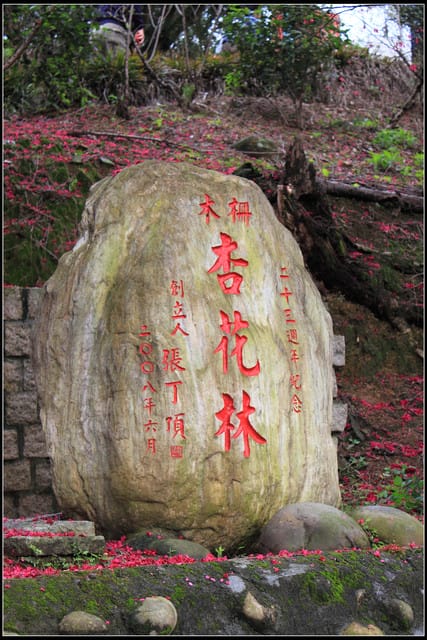 《遊記—台北》小珊珊追花去～木柵杏花林