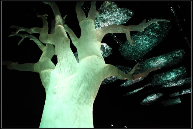 《遊記—苗栗》2011台灣燈會在苗栗