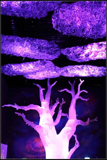 《遊記—苗栗》2011台灣燈會在苗栗