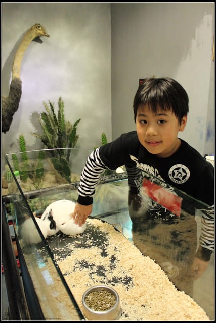 《遊記—新竹》內灣老街＆內灣戲院