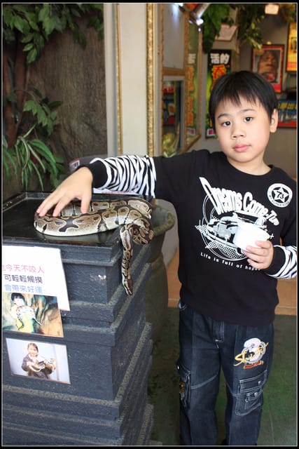 《遊記—新竹》內灣老街＆內灣戲院