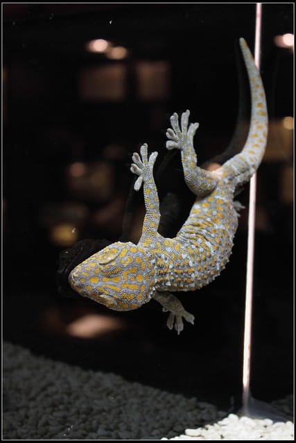 《遊記—新竹》內灣老街＆內灣戲院