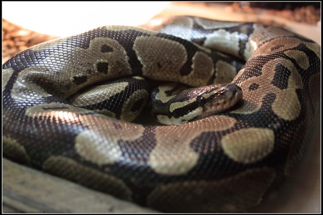 《遊記—新竹》內灣老街＆內灣戲院