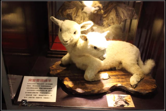 《遊記—新竹》內灣老街＆內灣戲院