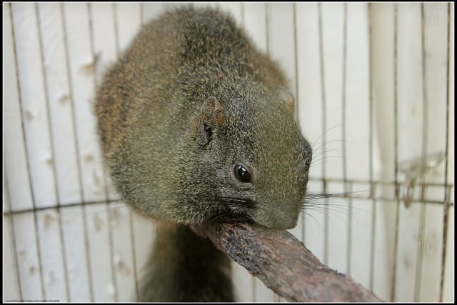 《遊記—新竹》內灣老街＆內灣戲院