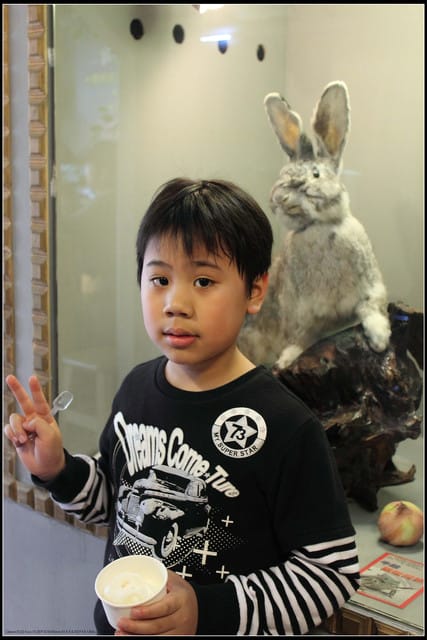 《遊記—新竹》內灣老街＆內灣戲院