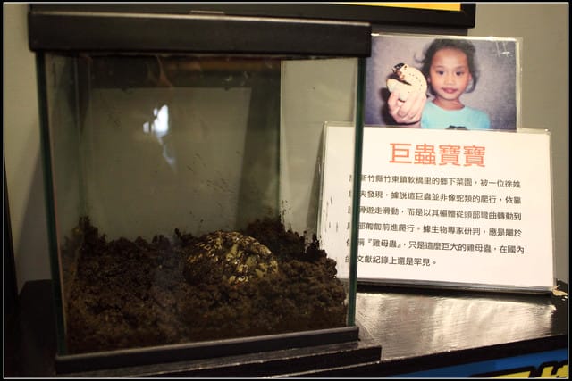 《遊記—新竹》內灣老街＆內灣戲院