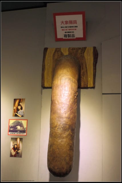 《遊記—新竹》內灣老街＆內灣戲院