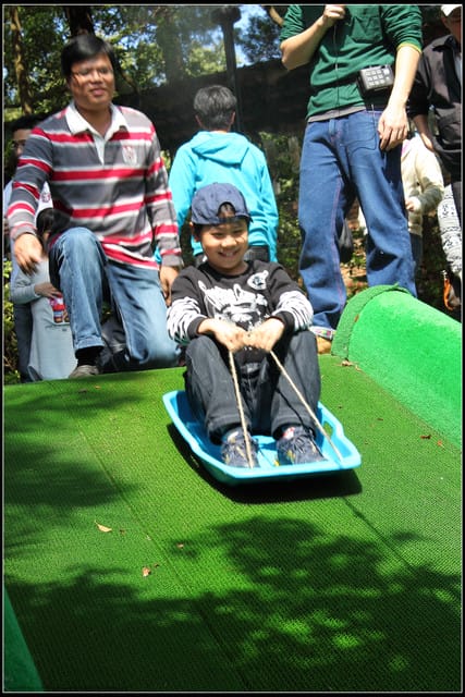 《遊記—苗栗》四方牧場（餵牛去，哞～）