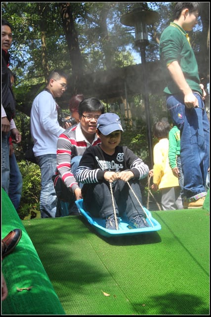 《遊記—苗栗》四方牧場（餵牛去，哞～）