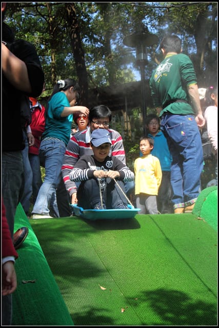 《遊記—苗栗》四方牧場（餵牛去，哞～）