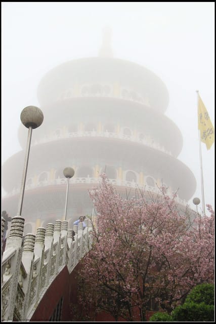 《遊記—新北淡水》2011天元宮賞櫻～霧裡看花？！