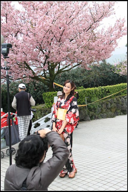 《遊記—新北淡水》2011天元宮賞櫻～霧裡看花？！