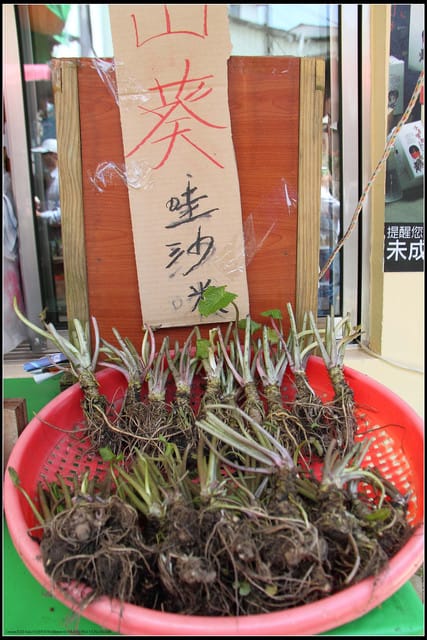 《遊記—嘉義》阿里山二日遊～奮起湖