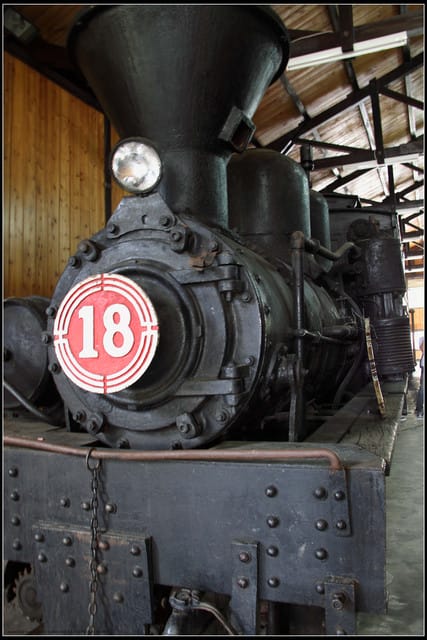 《遊記—嘉義》阿里山二日遊～奮起湖