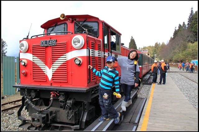 《遊記—嘉義》阿里山二日遊～巨木群景觀步道