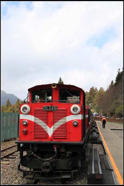 《遊記—嘉義》阿里山二日遊～巨木群景觀步道