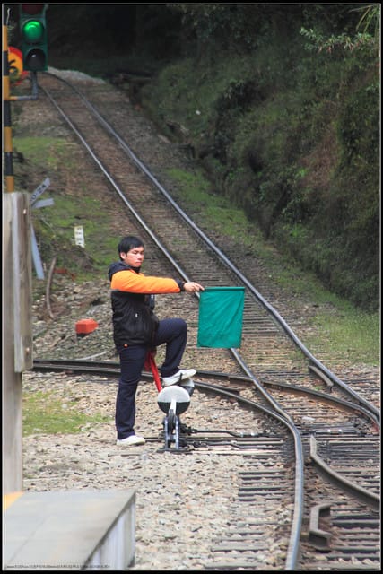 《遊記—嘉義》阿里山二日遊～巨木群景觀步道