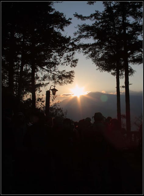 《遊記—嘉義》阿里山二日遊～祝山觀日出