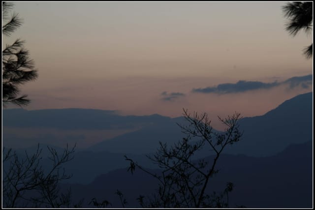 《遊記—嘉義》阿里山二日遊～祝山觀日出