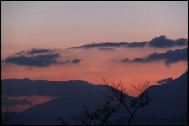 《遊記—嘉義》阿里山二日遊～祝山觀日出